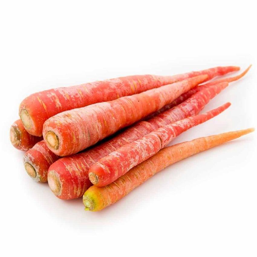 INDIAN CARROT