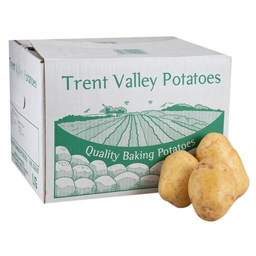 JACKET POTATO 30