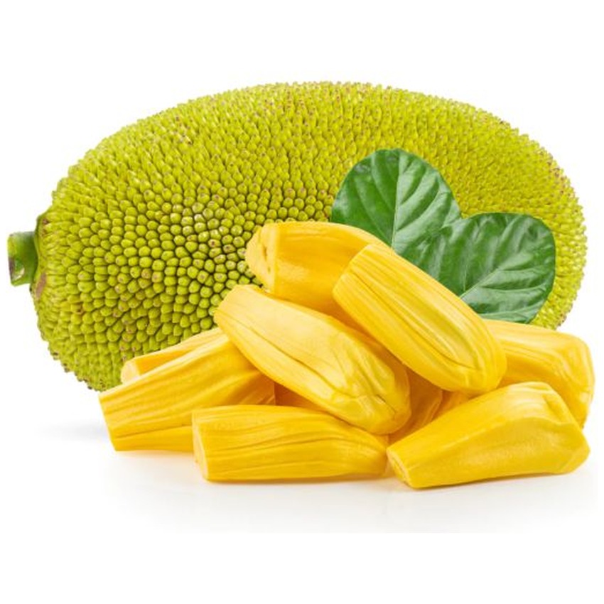 JACKFRUIT