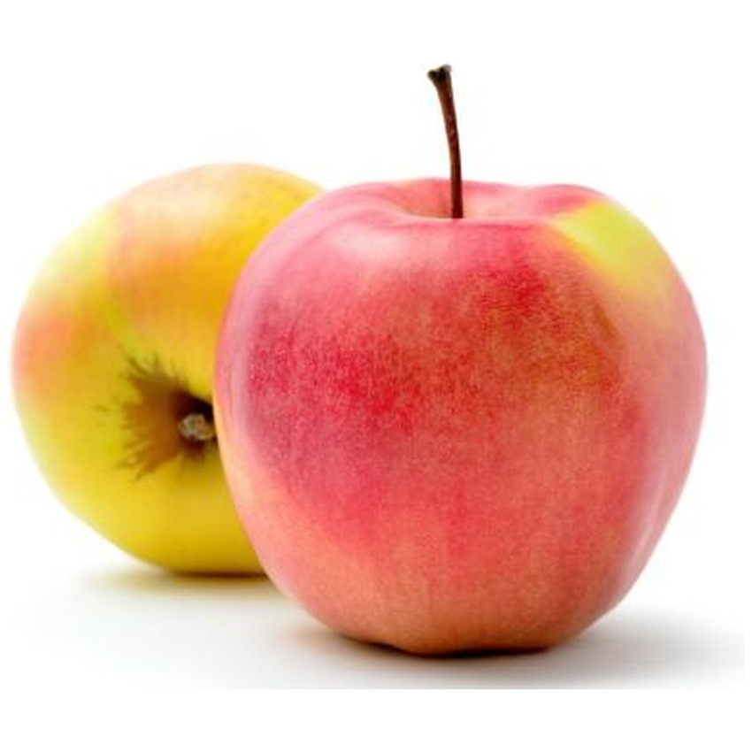 JONAGOLD APPLE