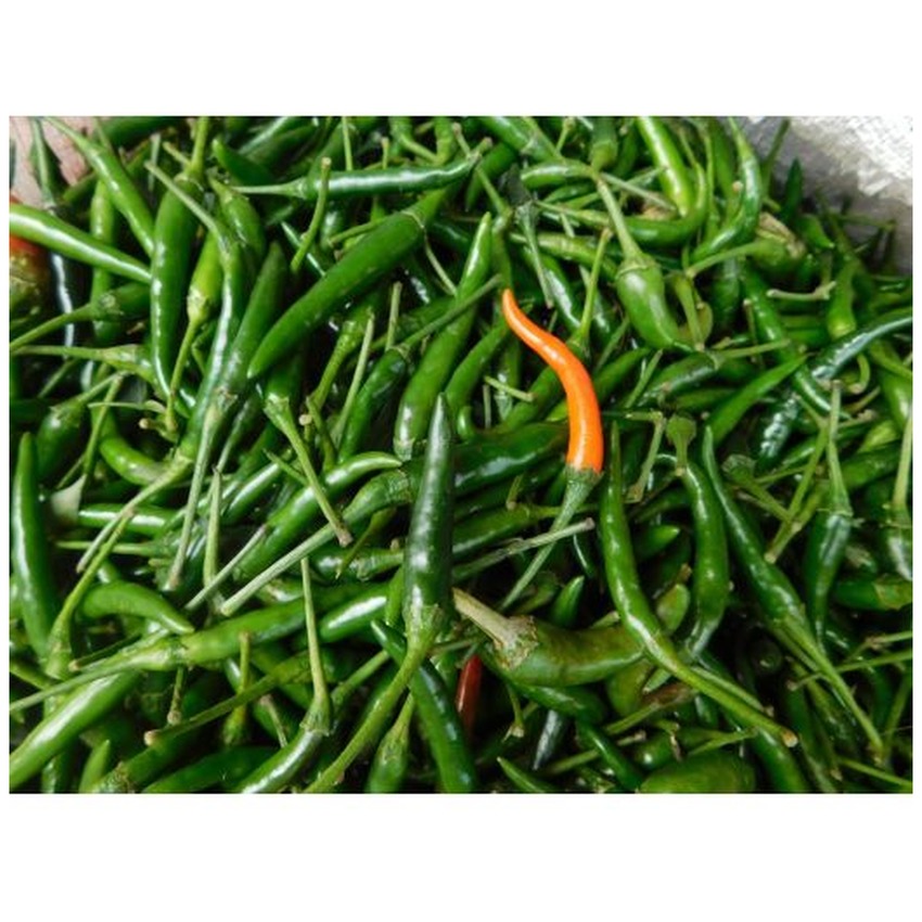 KENYA CHILI