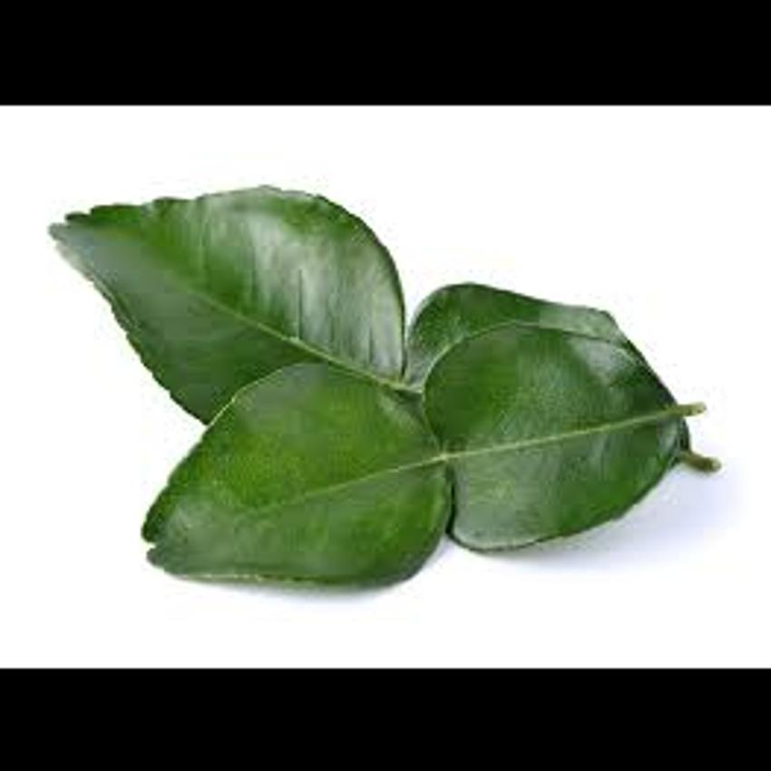 LIME LEAF
