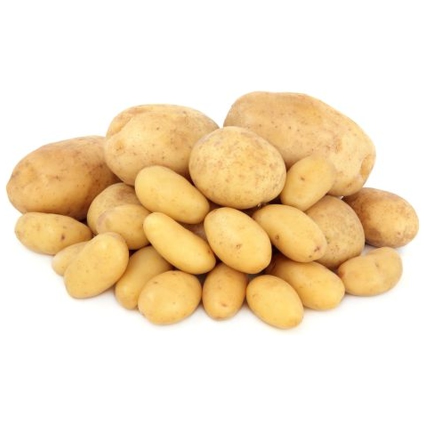 MARIS PEER POTATOES (GENIUE)