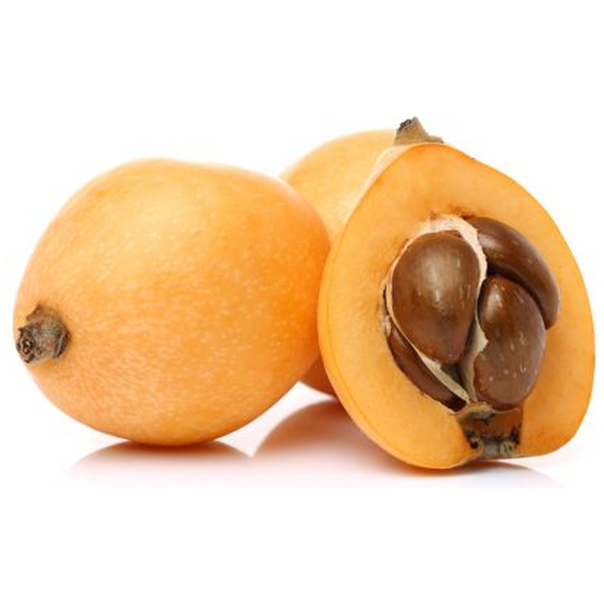 MEDLAR (YENI DUNYA)