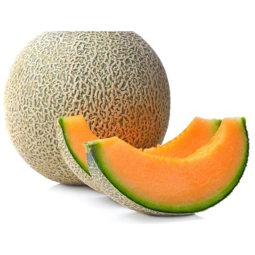 MELON - CANTELOUPE