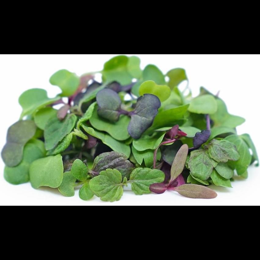MICRO MIX LEAF
