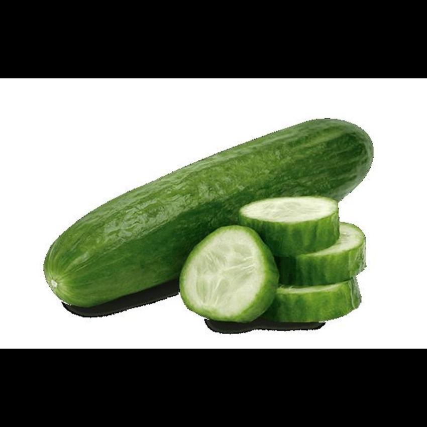 MINI CUCUMBER (BIG BOX)