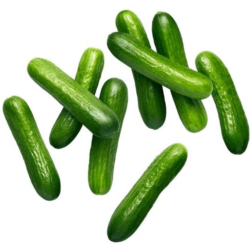MINI CUCUMBER (SMALL BOX)