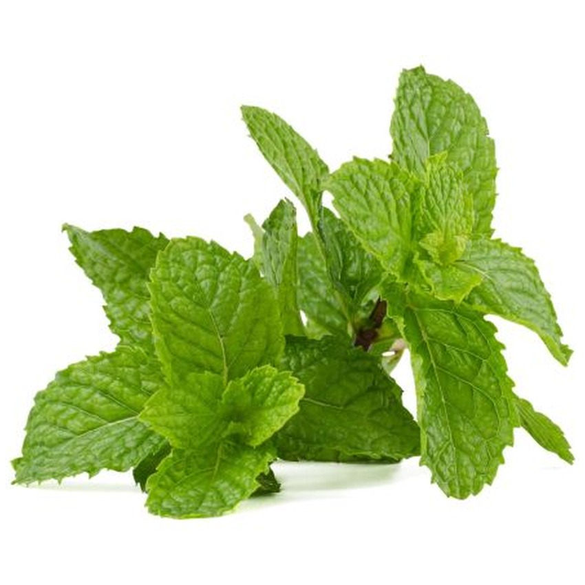 MINT