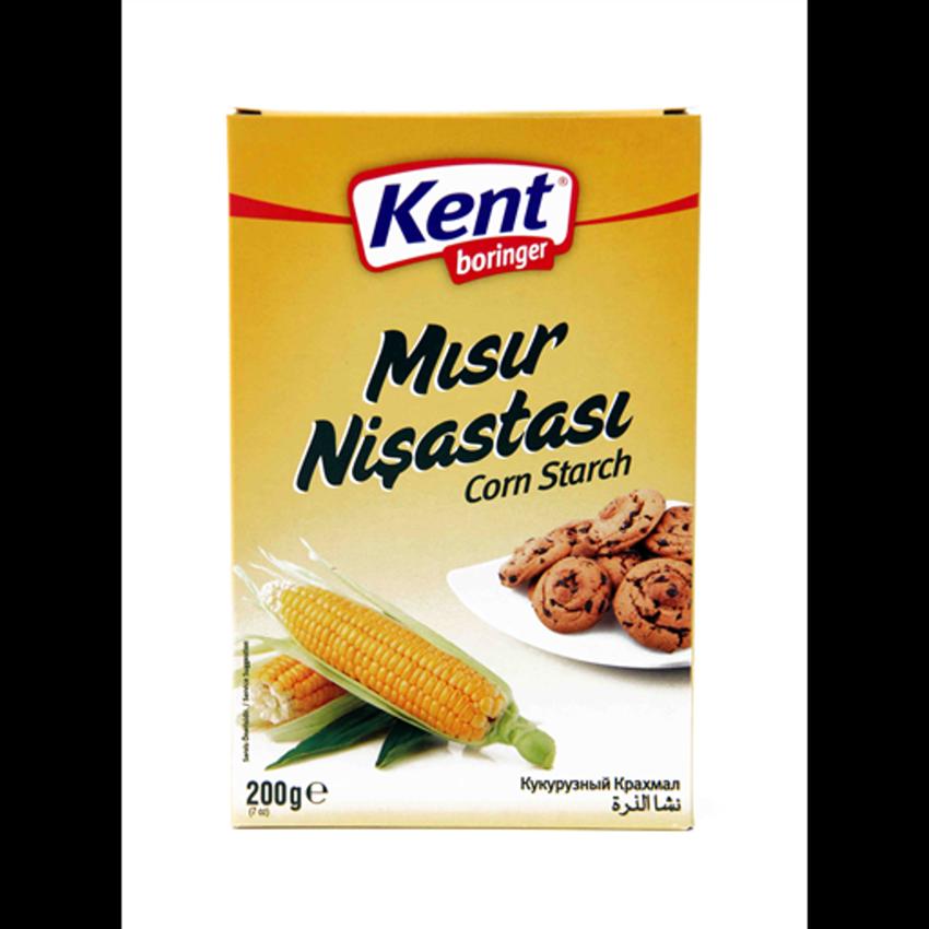 MISIR NISASTASI