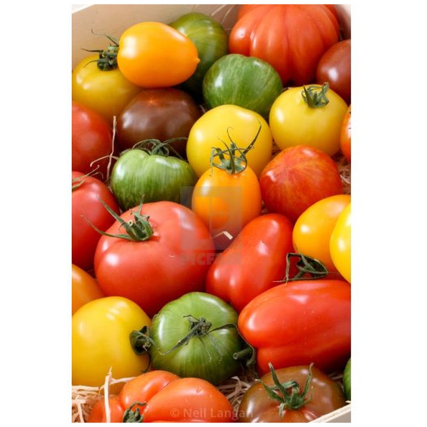 MIXED HERITAGE TOMATOES