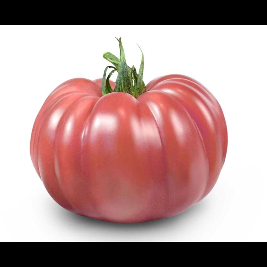 MONTEROSA BEEF TOMATO