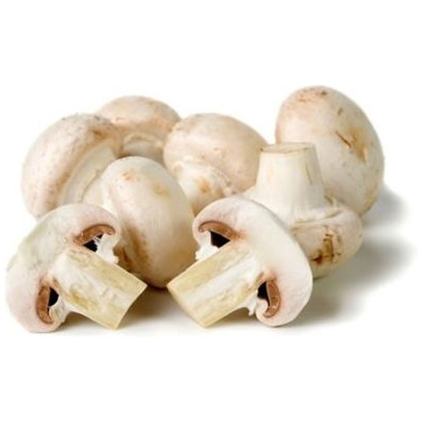 MUSHROOM