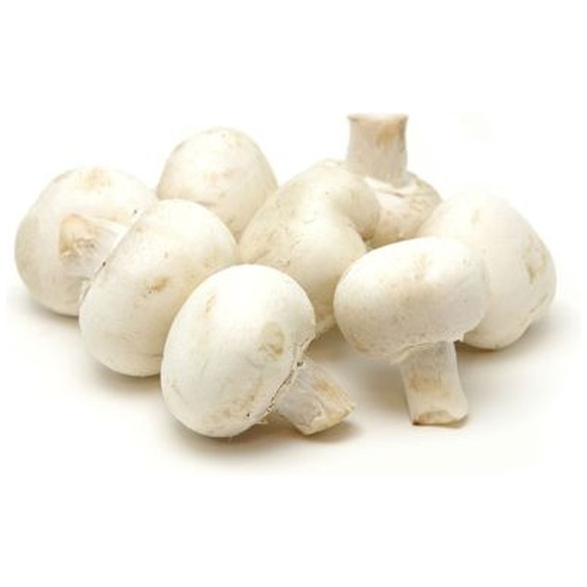 MUSHROOM BUTTON