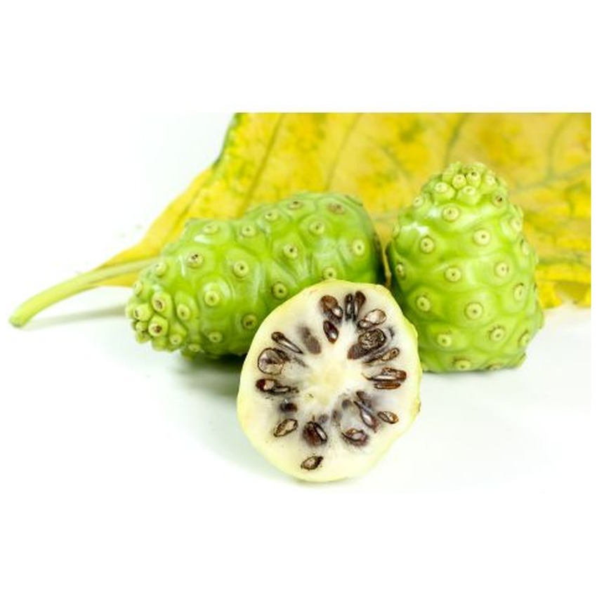 NONI FRUIT