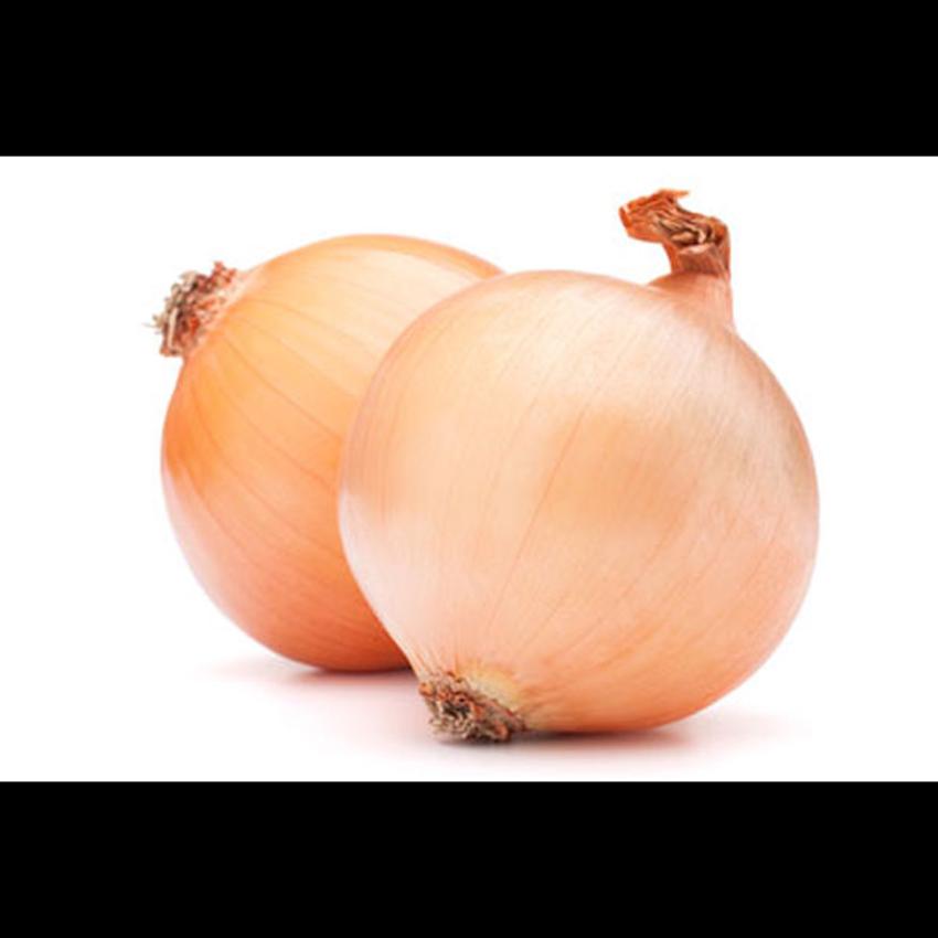 ONION ENGLISH (JWK)