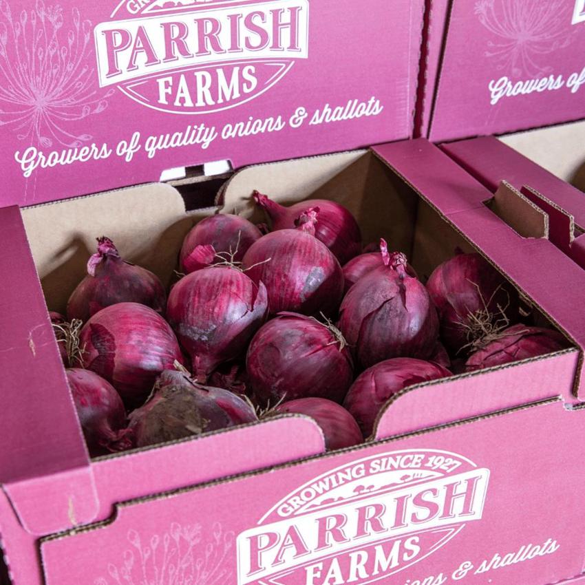 RED ONION BOX 9KG