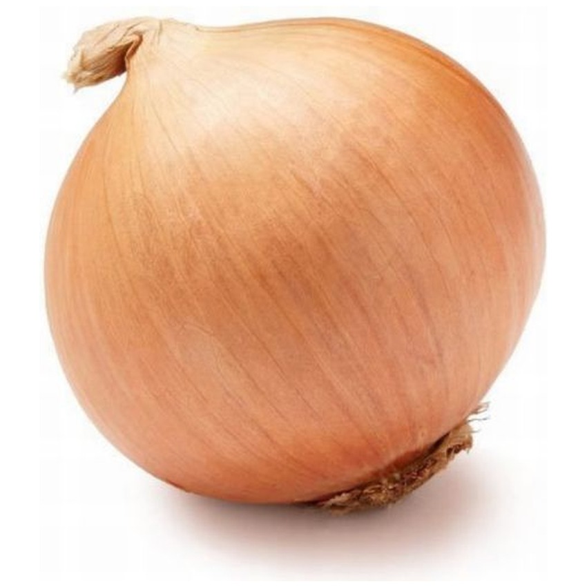 ONION SPANISH