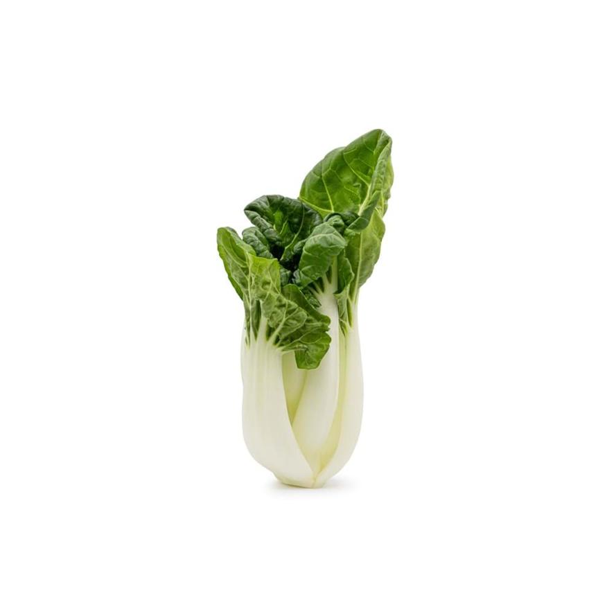 PAK CHOI - WHITE