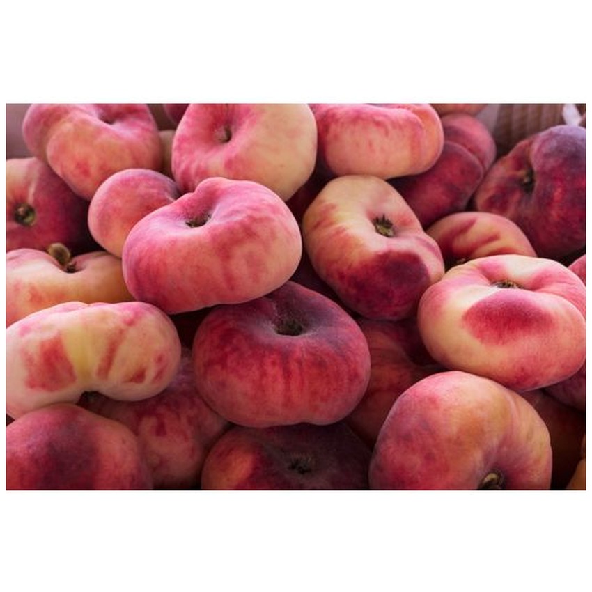 PEACH FLAT