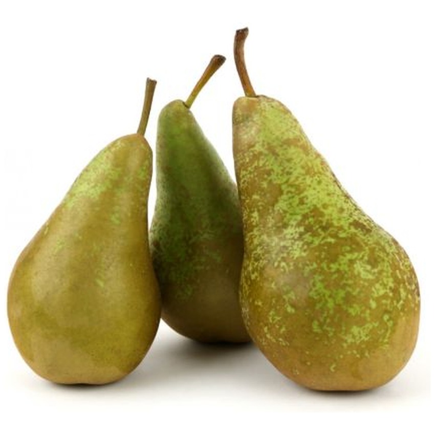 PEAR CONFERENCE