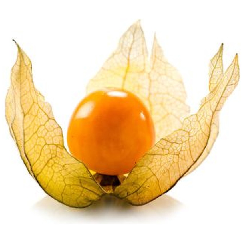 PHYSALIS (PACK)