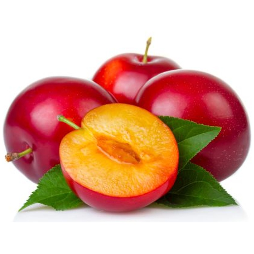 PLUM RED