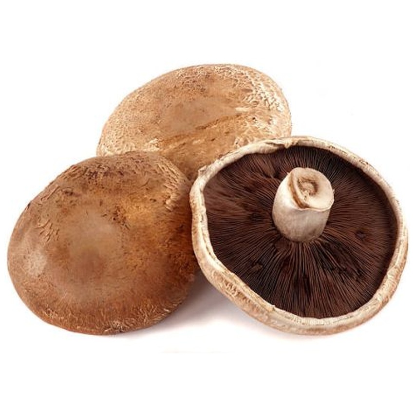 PORTOBELLO MUSHROOMS