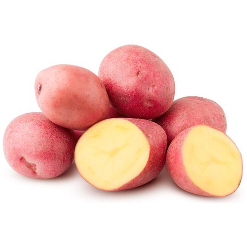 POTATO RED
