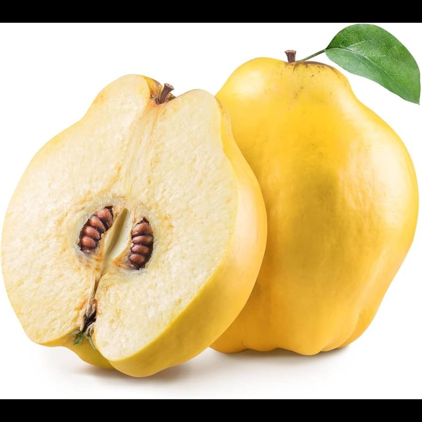 QUINCE 9PCS (AYVA)
