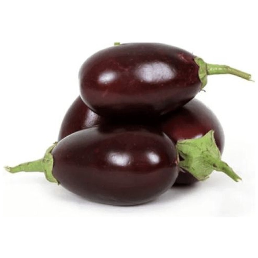 RAVAYA AUBERGINE LONG (RIVEA)
