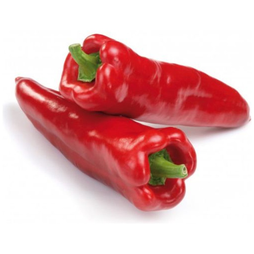 RED CAPYA (KAPYA)