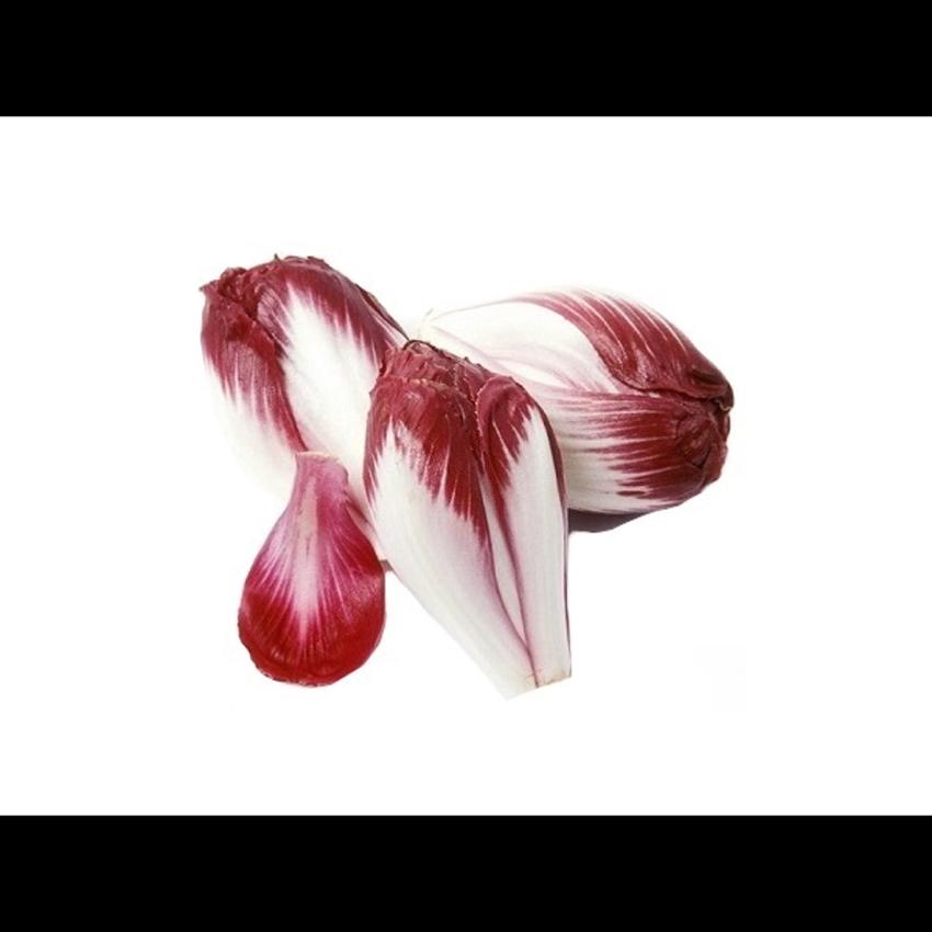 RED CHICORY (RADICCHIO)