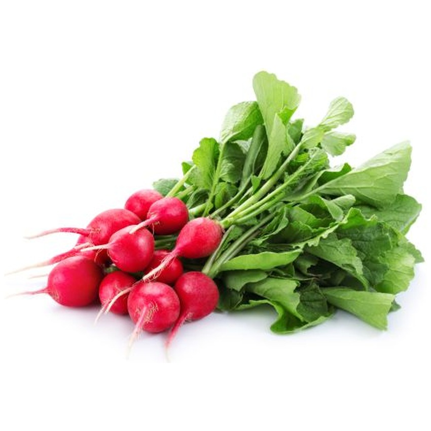RED RADISH