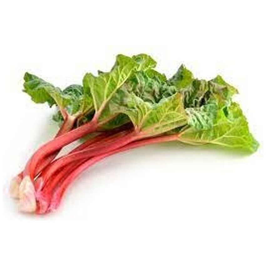 RHUBARB