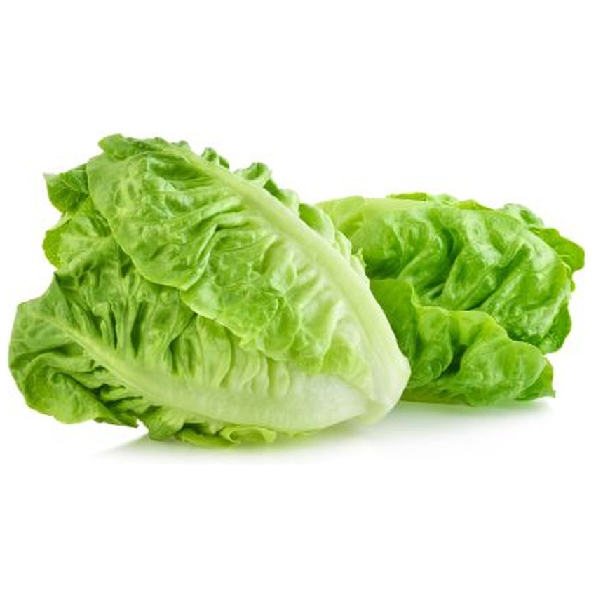 ROMANIAE (COS) LETTUCE
