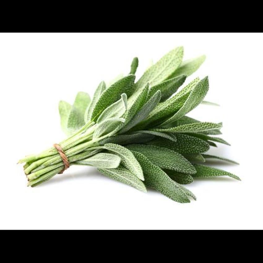 SAGE BUNCH