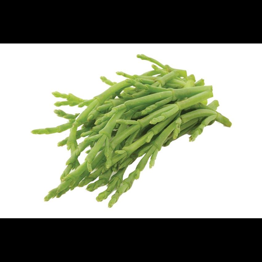 SAMPHIRE (SALICORNIA)