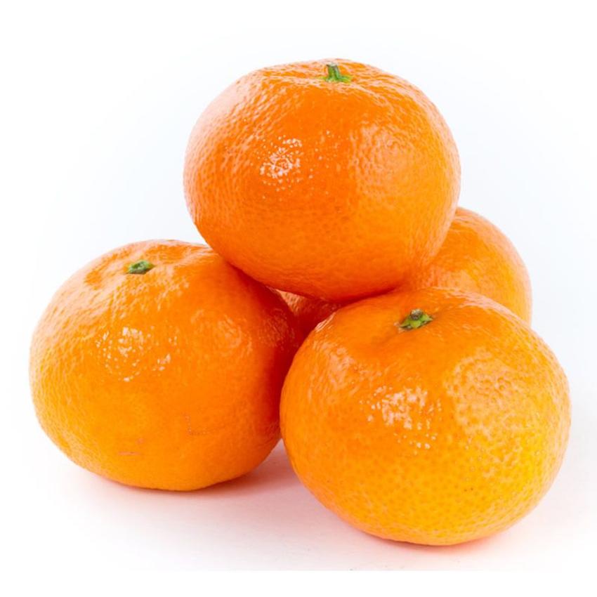 SATSUMA MANDARIN