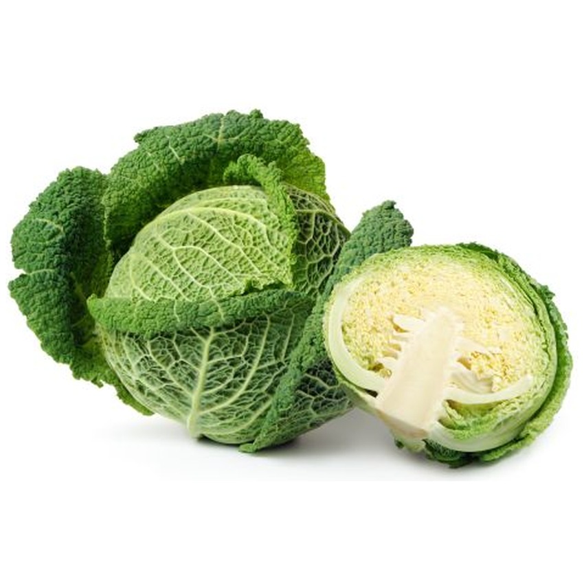 SAVOY CABBAGE GREEN
