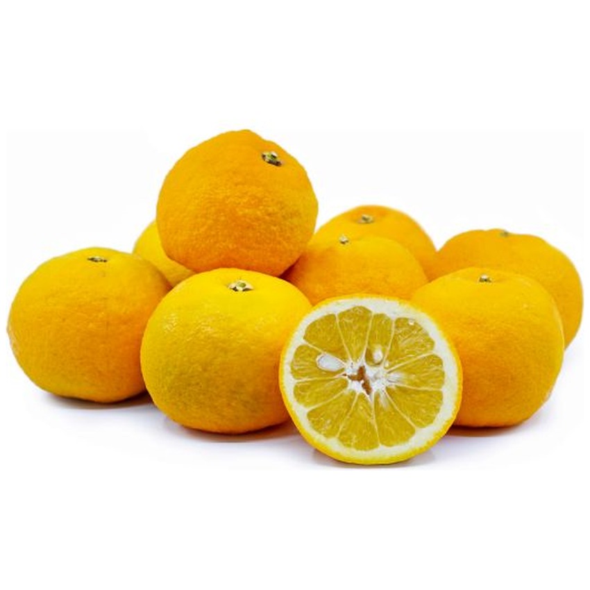 SEVILLE ORANGES (FOR MARMALADE)