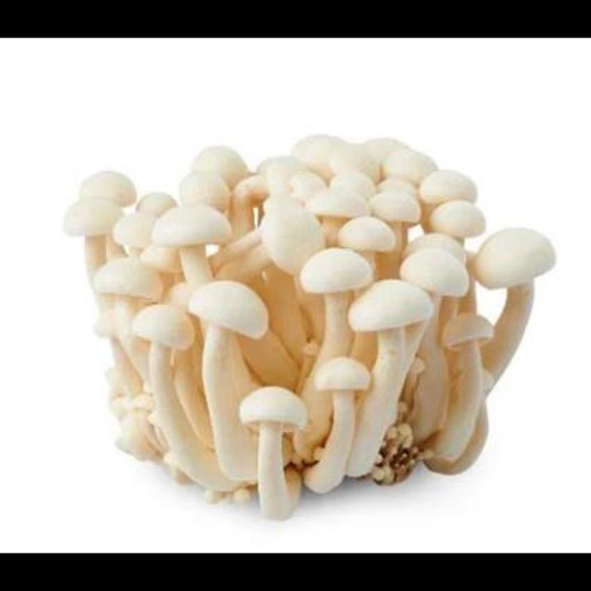 SHIMEJI MUSHROOM - WHITE 150GR