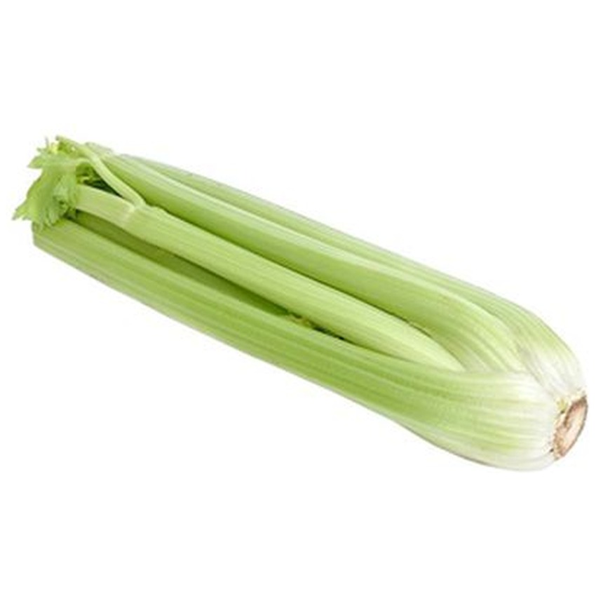 SHORT CELERY