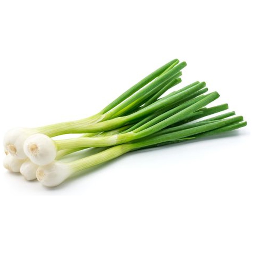 SPRING ONION BIG HEAD