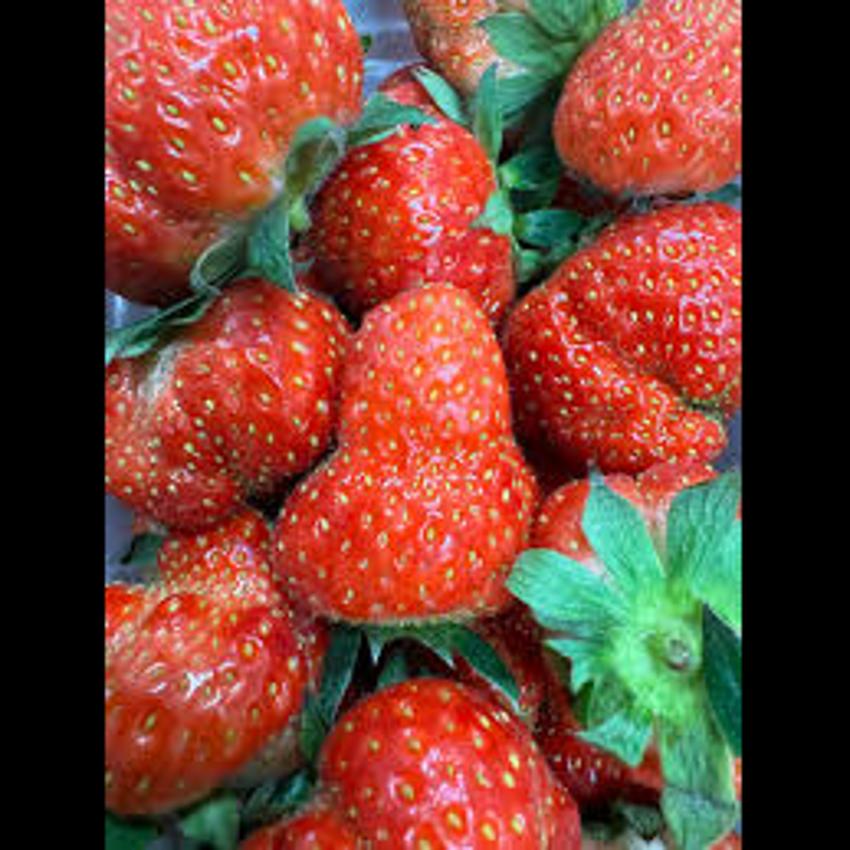 STRAWBERRY 12X400GR