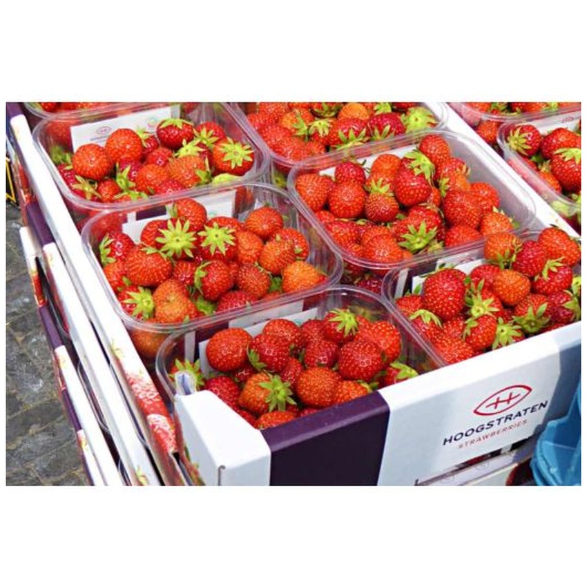 STRAWBERRY (BELGIUM) 8 X 500GR