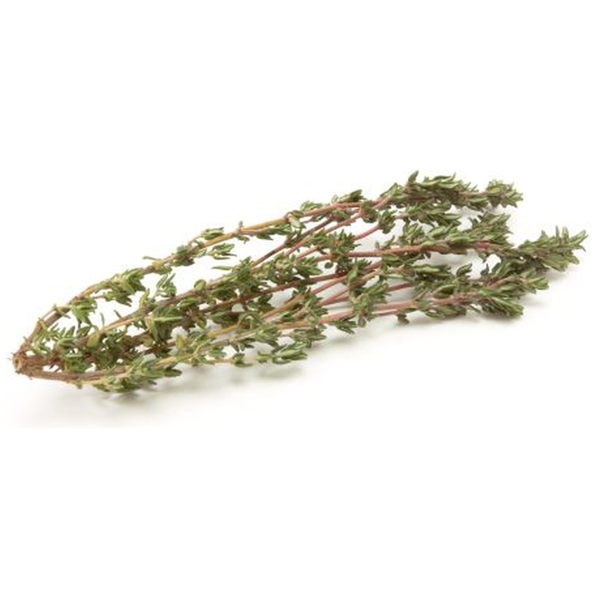 THYME BUNCH