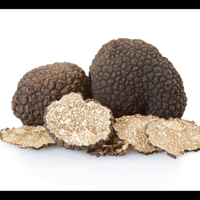 TRUFFLE MUHSROOM