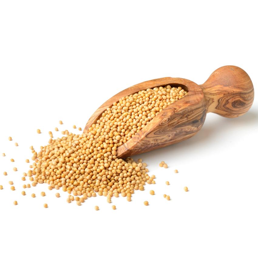 YELLOW MUSTARD SEEDS