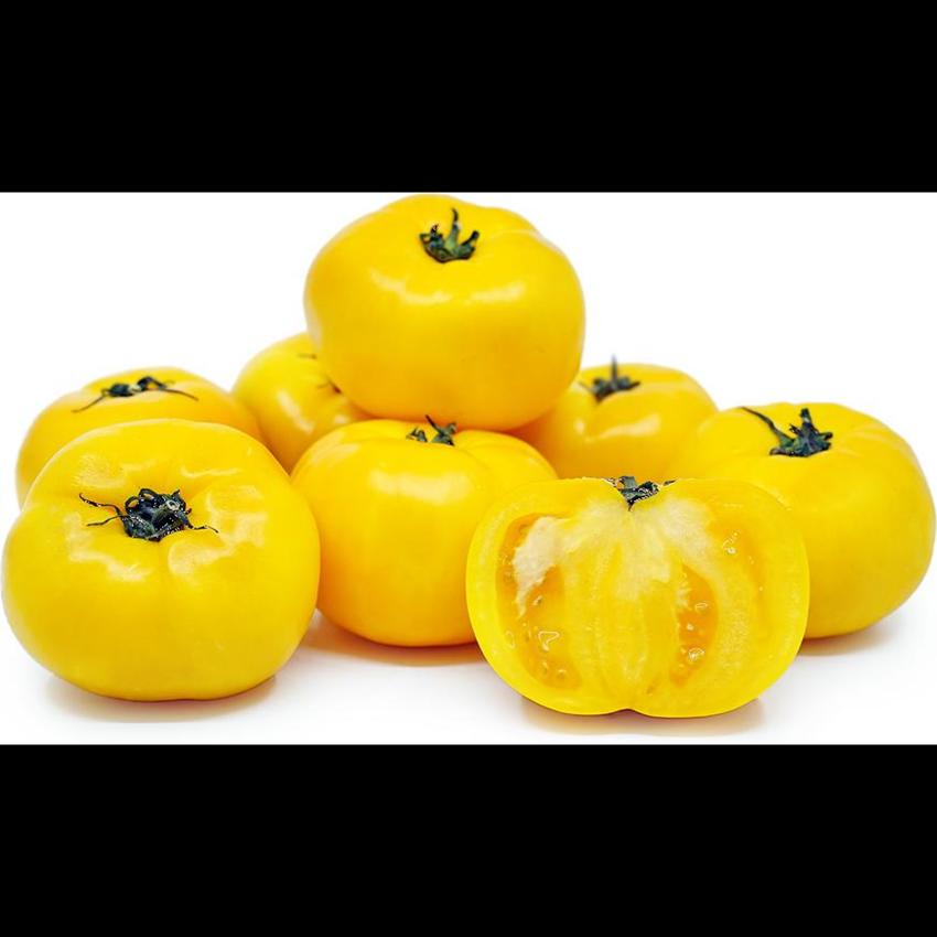 YELLOW TOMATO